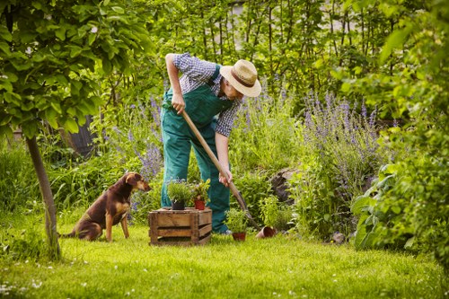 Team member inspecting a lawn before mowing