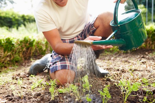 A person kneeling on the soil of a garden bed, watering young plants with a green plastic watering can. The garden features a neatly cultivated area with small green seedlings and emerging foliage, bordered by a low hedge or shrubbery, with lush greenery visible in the background. The individual is dressed in casual summer clothing, including a light-colored t-shirt and plaid shorts, and is focused on watering the plants to promote healthy growth. The scene appears to be set outdoors under natural daylight, with a well-maintained garden environment that could be part of a residential landscape in Mortlake, suitable for professional gardening and lawn care services provided by Lawn Mowing Mortlake.