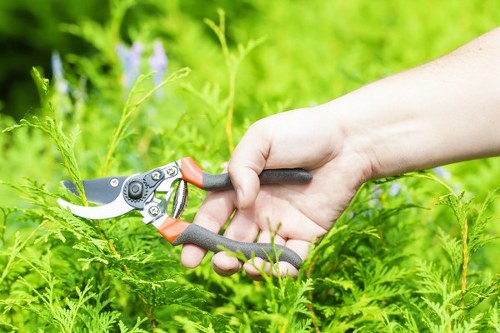 Dedicated team ensuring lawn health