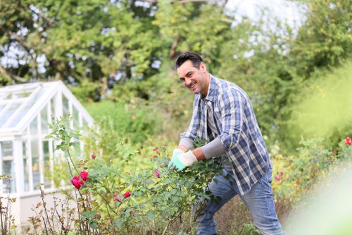 Environmental-friendly lawn care in Mortlake