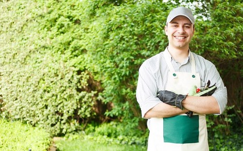Customized lawn care plan for a stunning lawn in Mortlake